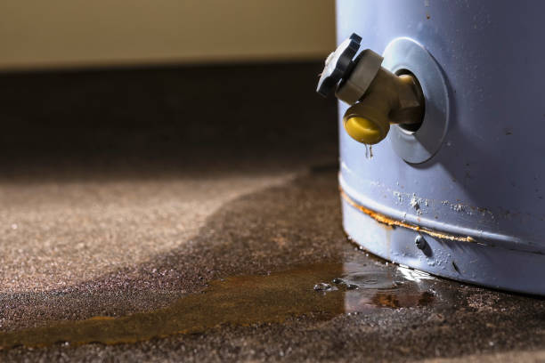 Best Sewage cleanup and water damage restoration  in Castle Shannon, PA