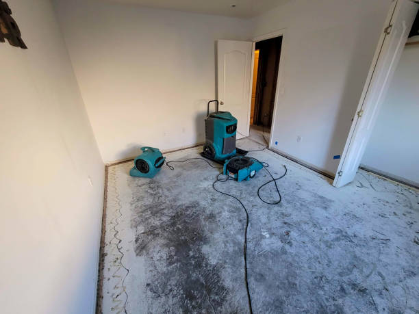 Best Ceiling water damage repair  in Castle Shannon, PA