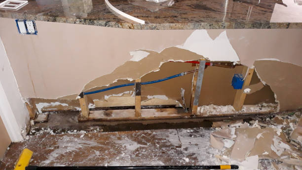 Best Flood damage cleanup  in Castle Shannon, PA