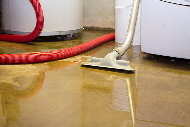 Best Residential water damage restoration  in Castle Shannon, PA