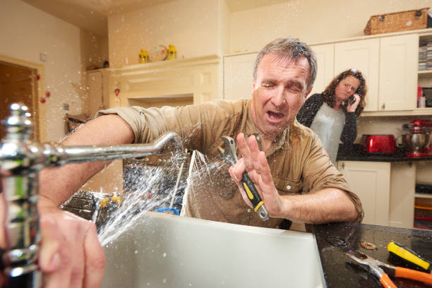 Best Basement water damage restoration  in Castle Shannon, PA